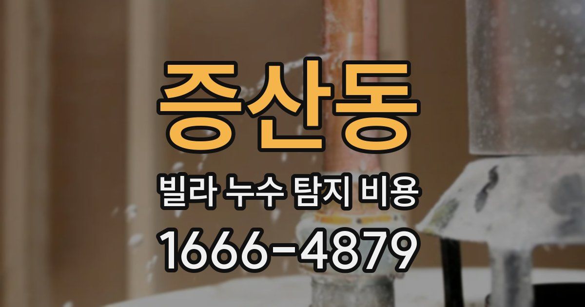 증산동 빌라 누수 탐지 비용