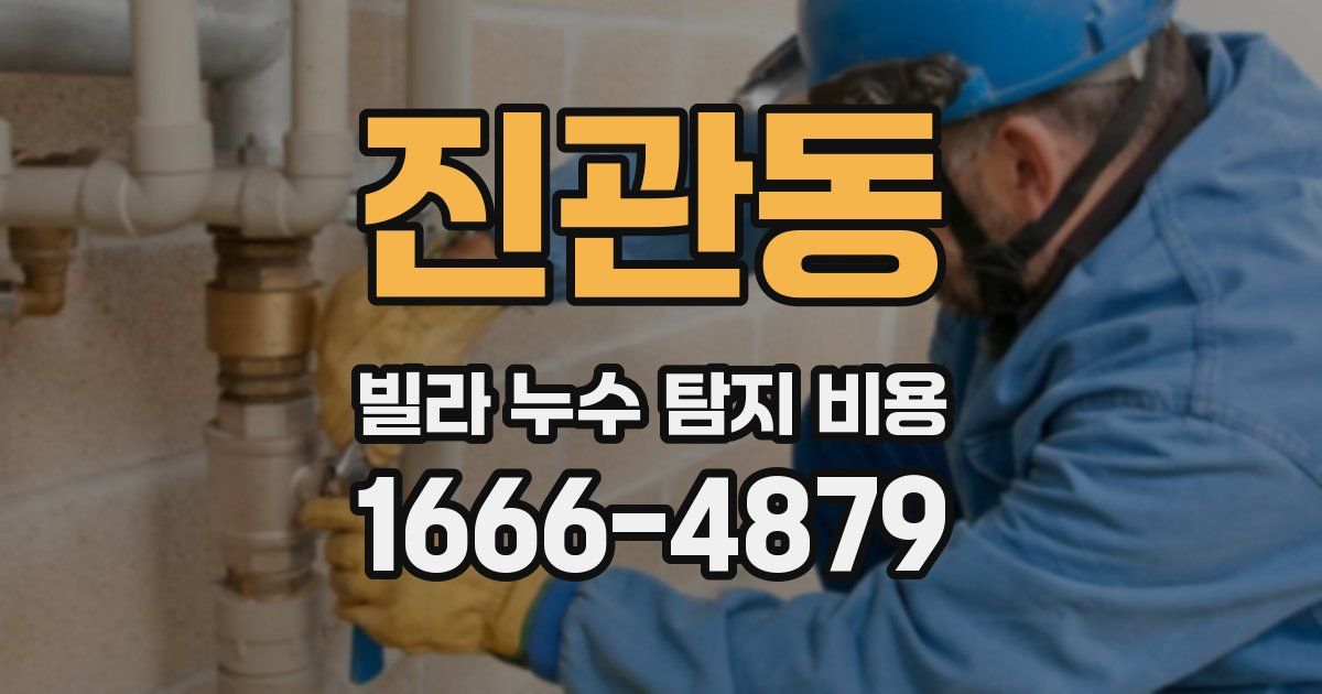 진관동 빌라 누수 탐지 비용