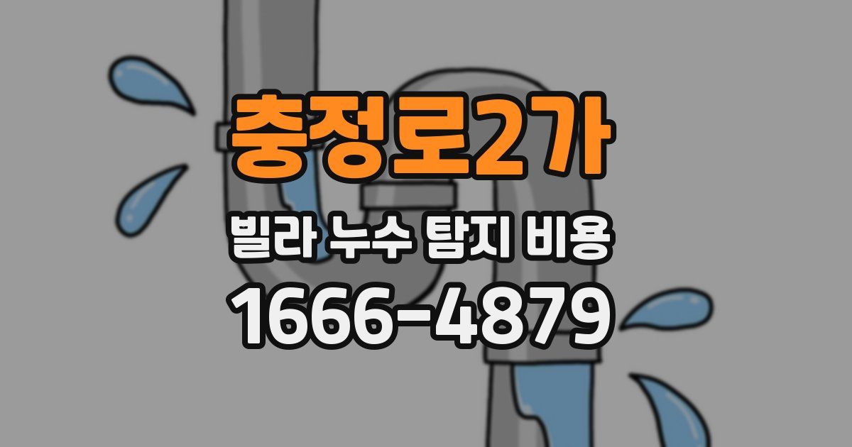 충정로2가 빌라 누수 탐지 비용
