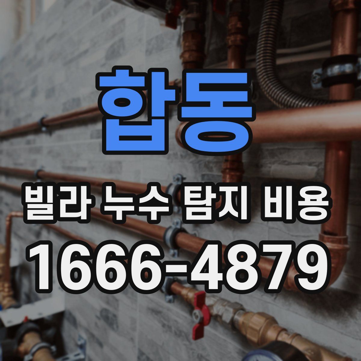 합동 빌라 누수 탐지 비용