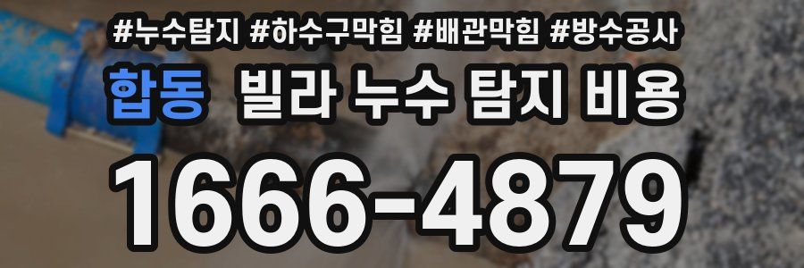 합동 빌라 누수 탐지 비용
