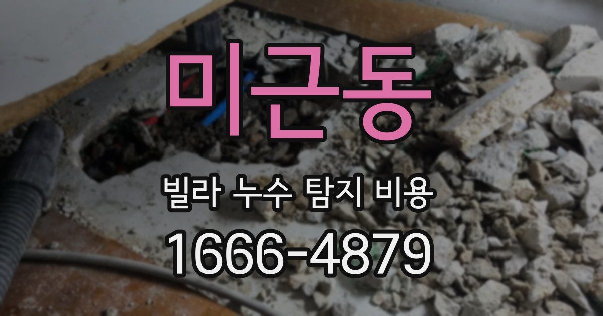 미근동 빌라 누수 탐지 비용