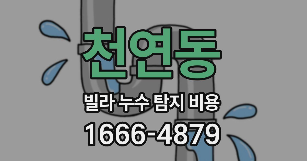 천연동 빌라 누수 탐지 비용