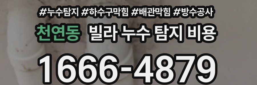 천연동 빌라 누수 탐지 비용