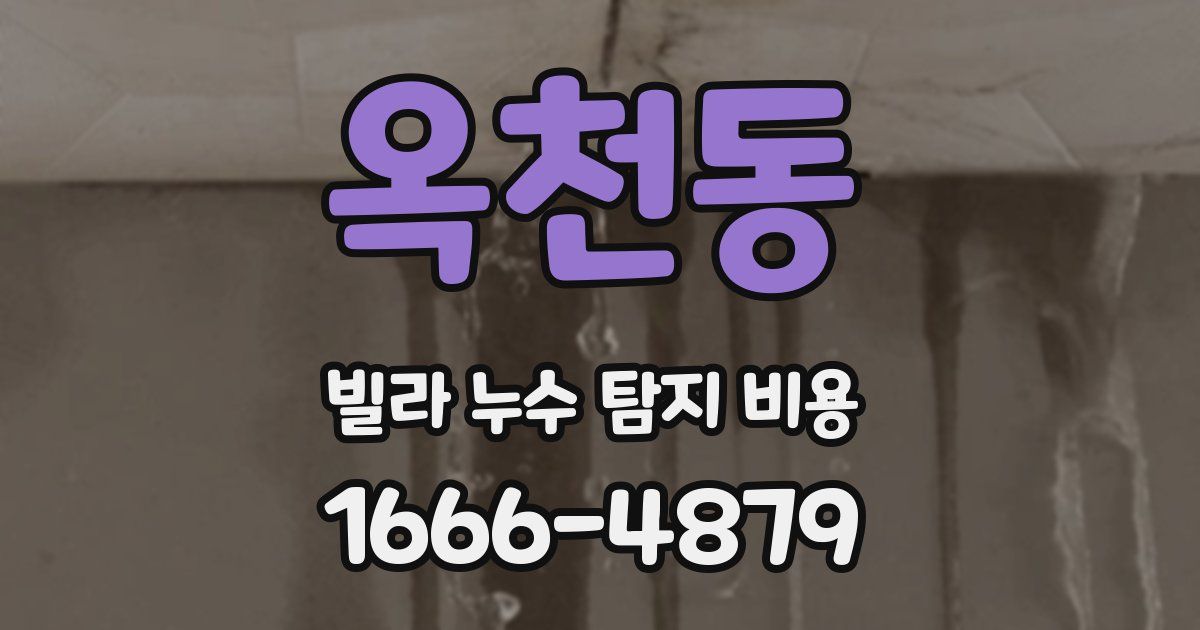 옥천동 빌라 누수 탐지 비용