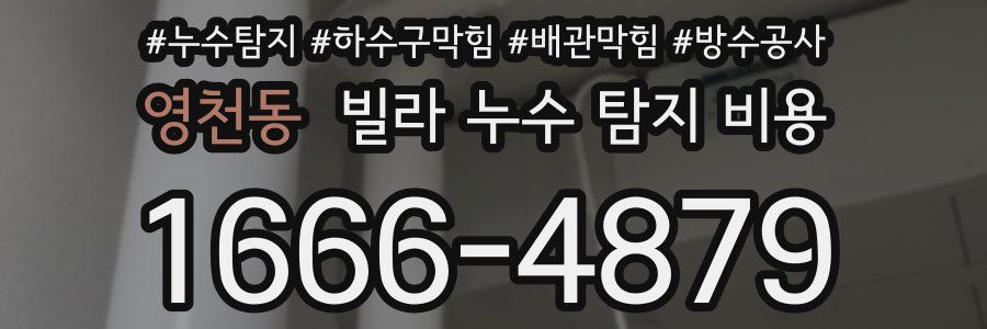 영천동 빌라 누수 탐지 비용