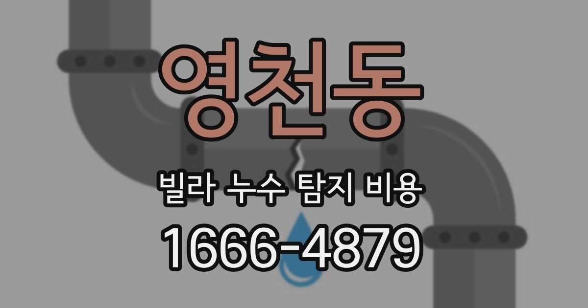 영천동 빌라 누수 탐지 비용