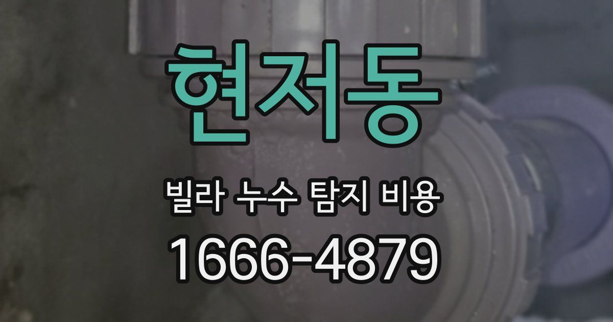 현저동 빌라 누수 탐지 비용