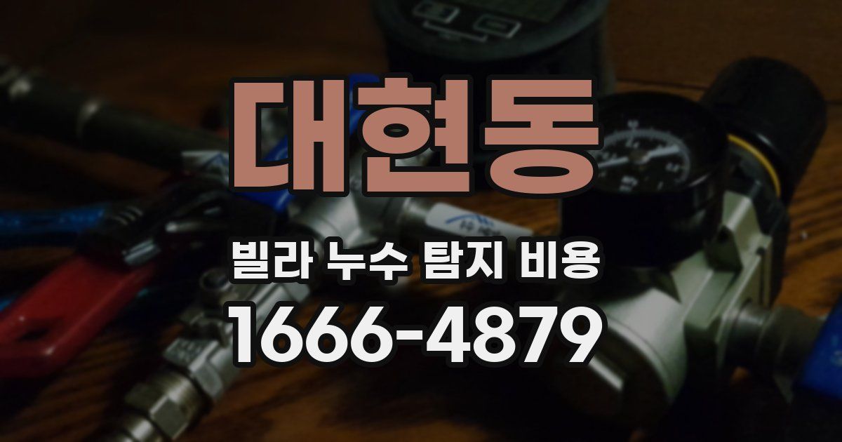 대현동 빌라 누수 탐지 비용