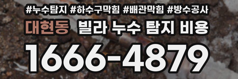 대현동 빌라 누수 탐지 비용