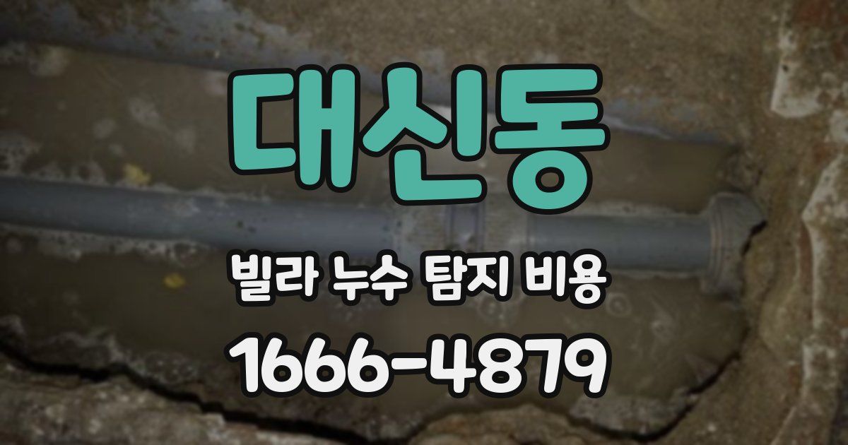 대신동 빌라 누수 탐지 비용