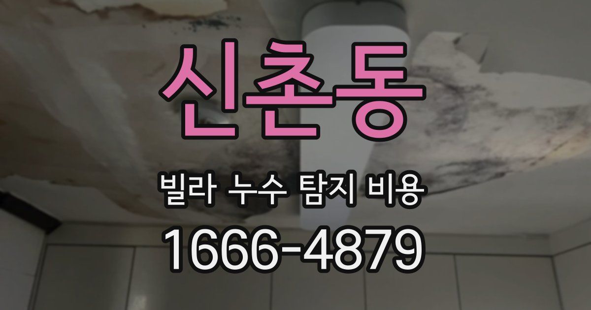 신촌동 빌라 누수 탐지 비용