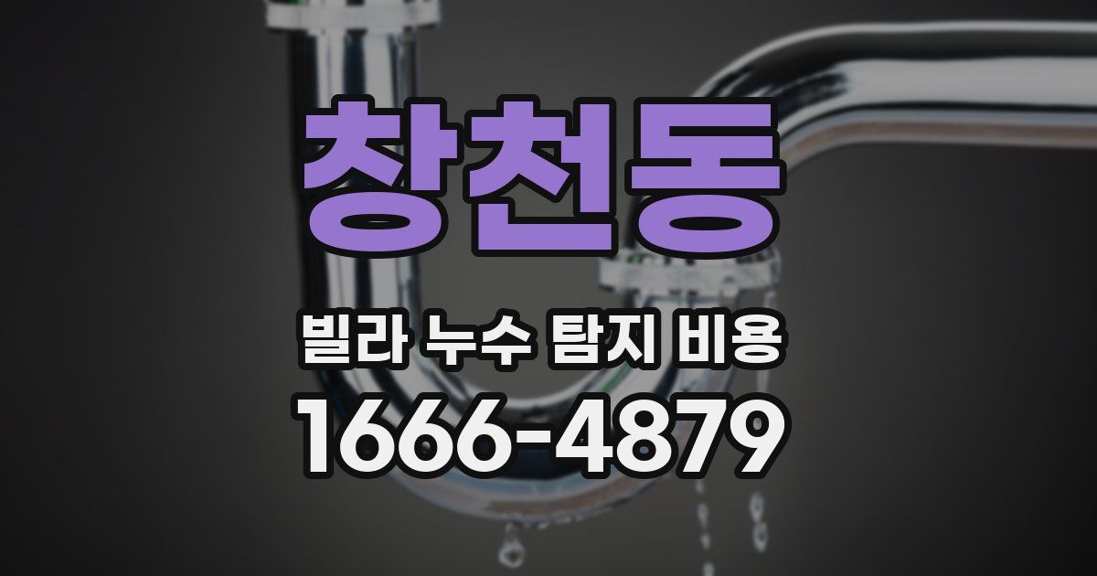 창천동 빌라 누수 탐지 비용