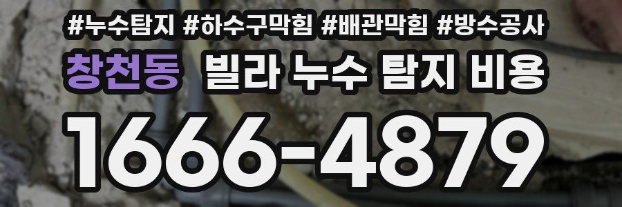 창천동 빌라 누수 탐지 비용