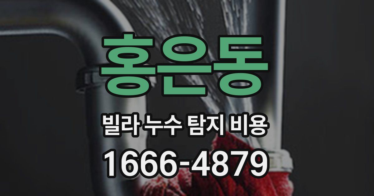 홍은동 빌라 누수 탐지 비용