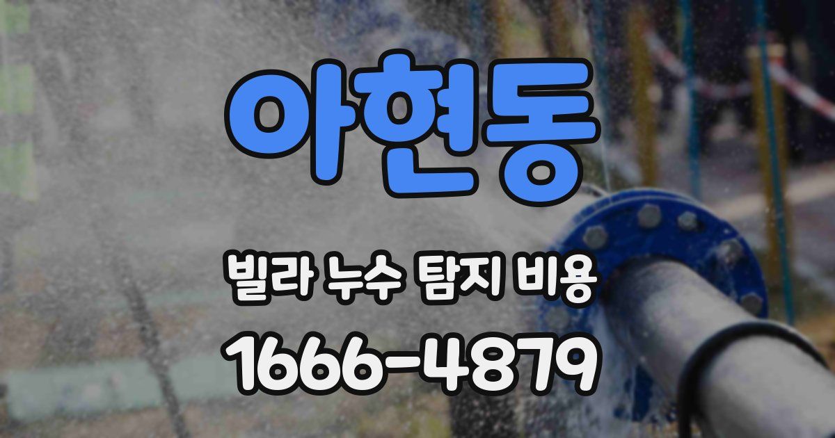 아현동 빌라 누수 탐지 비용