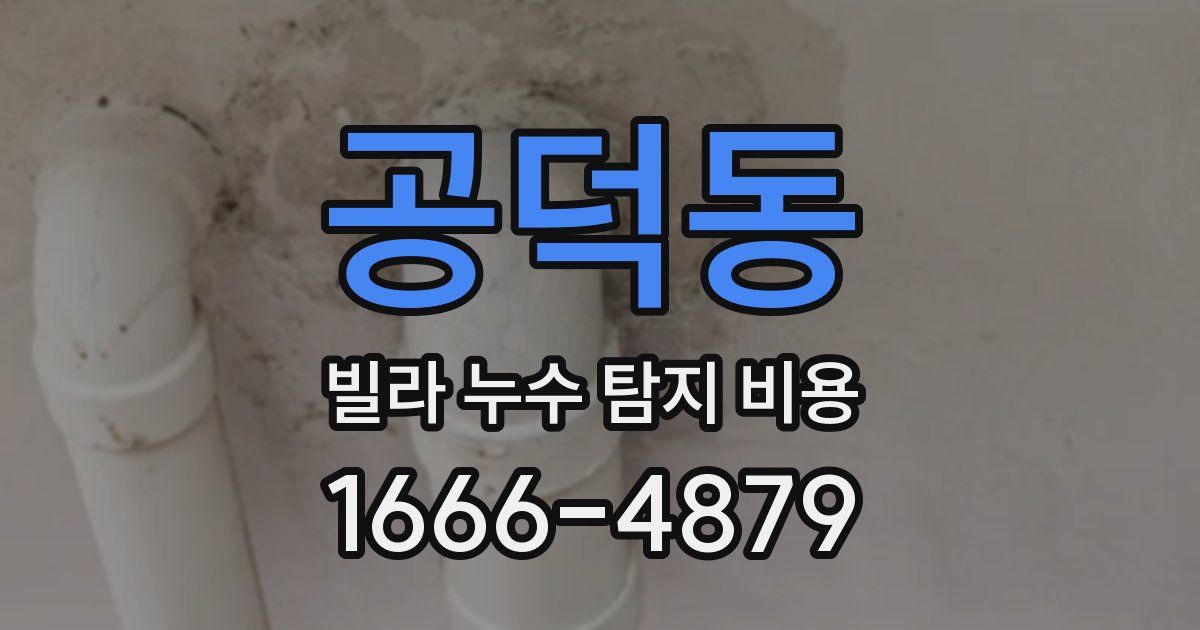 공덕동 빌라 누수 탐지 비용