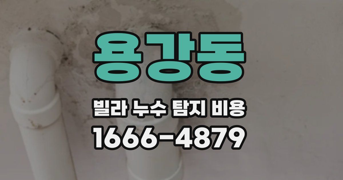 용강동 빌라 누수 탐지 비용