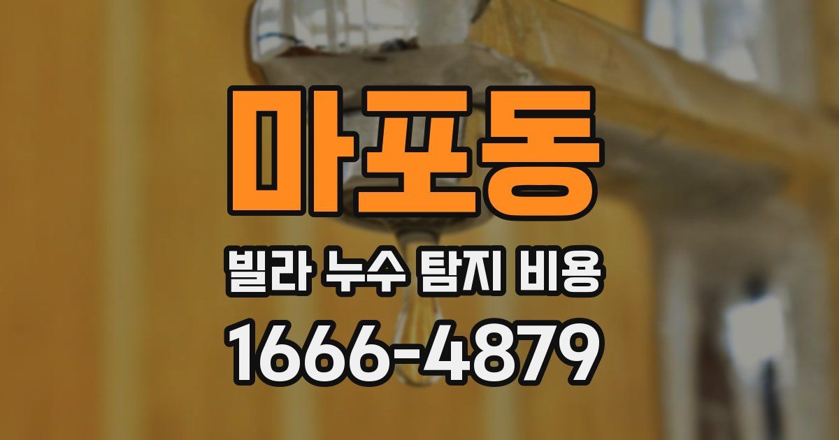 마포동 빌라 누수 탐지 비용