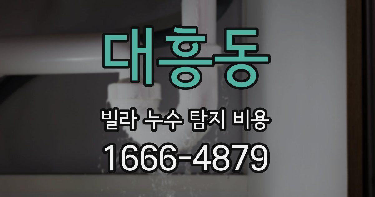 대흥동 빌라 누수 탐지 비용