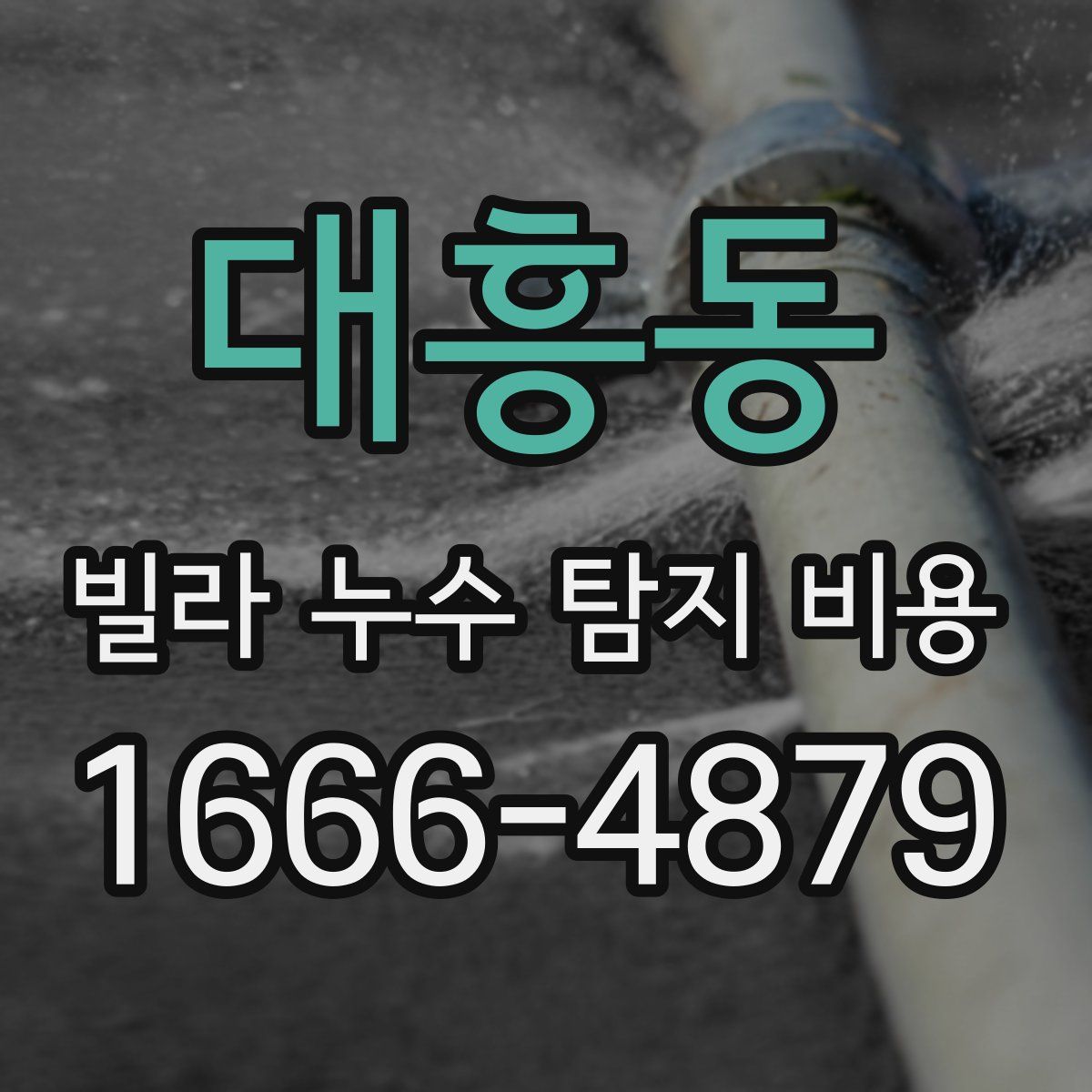 대흥동 빌라 누수 탐지 비용