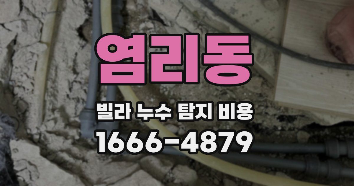 염리동 빌라 누수 탐지 비용