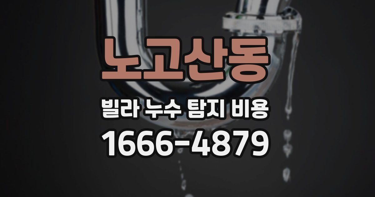 노고산동 빌라 누수 탐지 비용