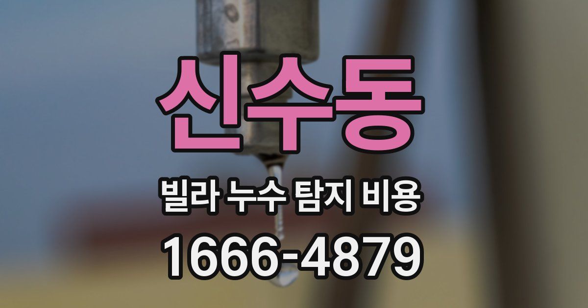 신수동 빌라 누수 탐지 비용