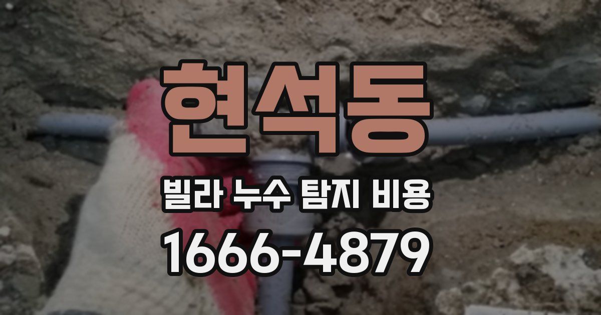 현석동 빌라 누수 탐지 비용