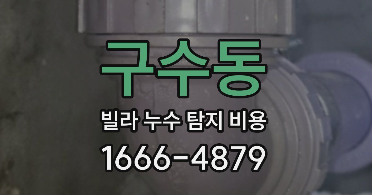 구수동 빌라 누수 탐지 비용