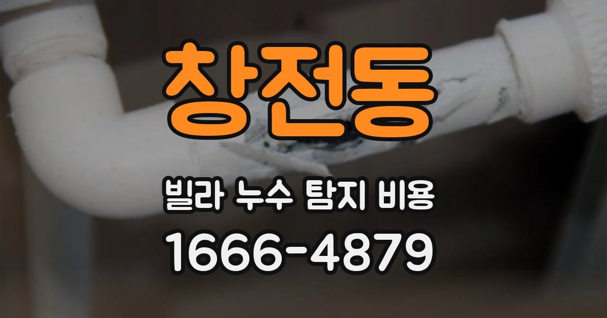 창전동 빌라 누수 탐지 비용