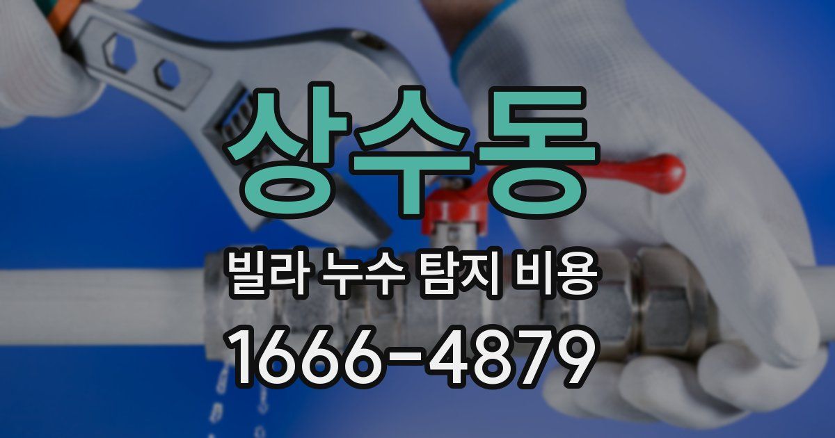 상수동 빌라 누수 탐지 비용