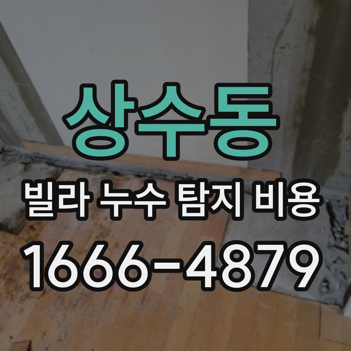 상수동 빌라 누수 탐지 비용