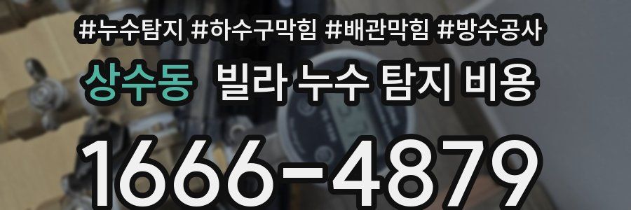 상수동 빌라 누수 탐지 비용