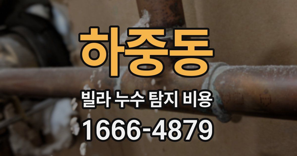 하중동 빌라 누수 탐지 비용