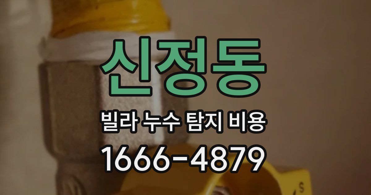 신정동 빌라 누수 탐지 비용