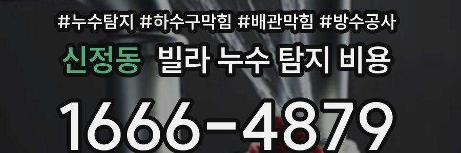 신정동 빌라 누수 탐지 비용