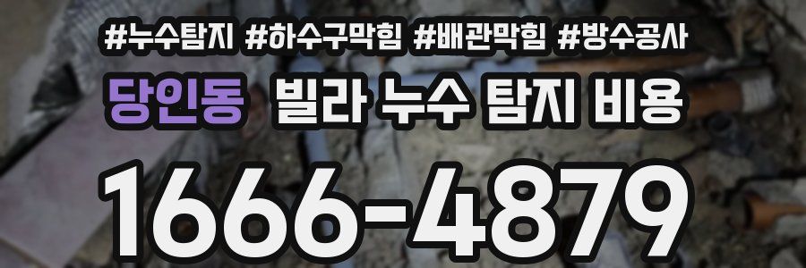 당인동 빌라 누수 탐지 비용