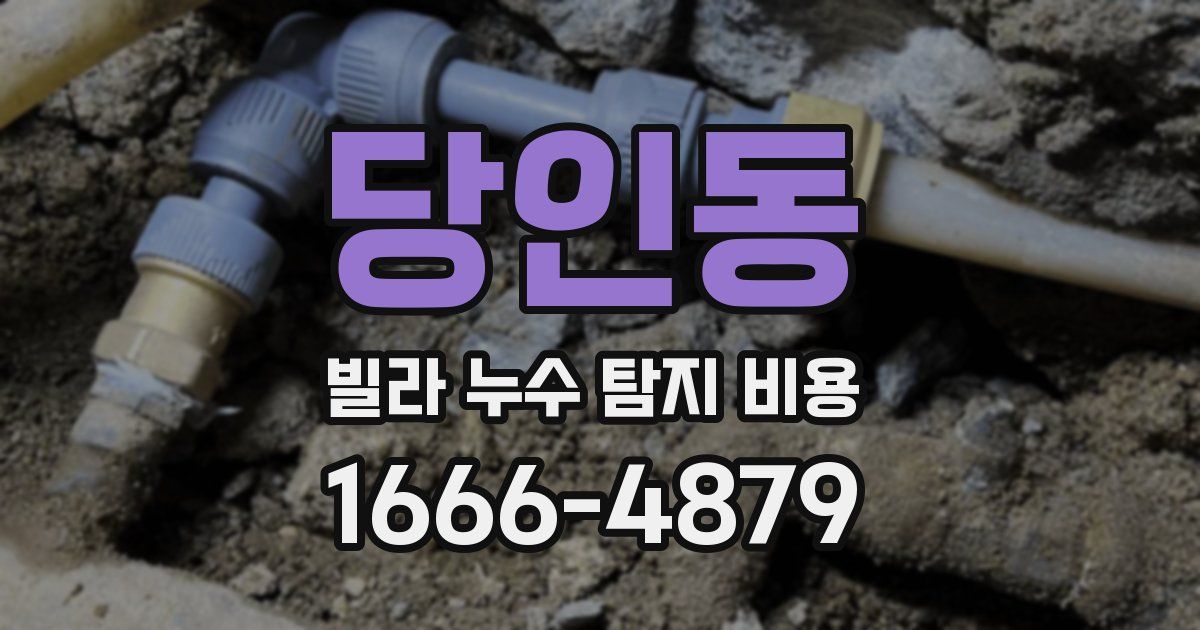 당인동 빌라 누수 탐지 비용