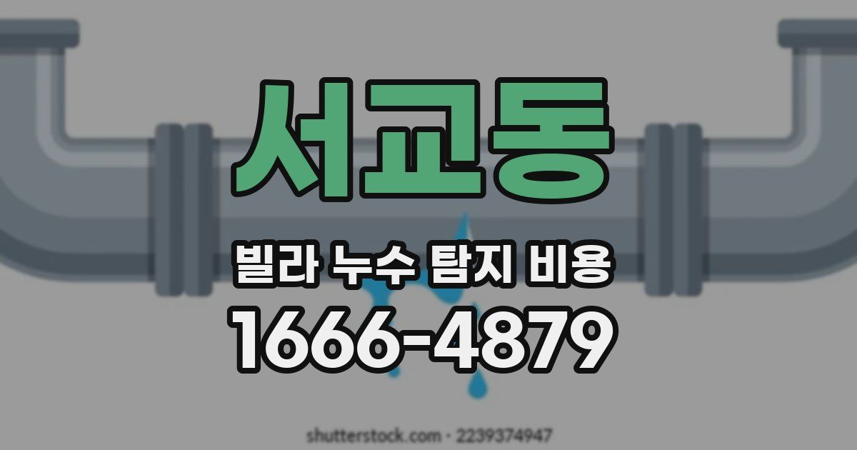 서교동 빌라 누수 탐지 비용