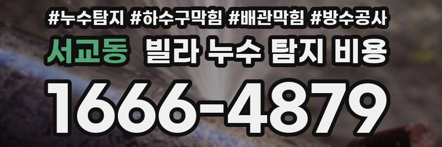 서교동 빌라 누수 탐지 비용