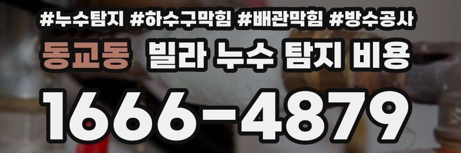 동교동 빌라 누수 탐지 비용