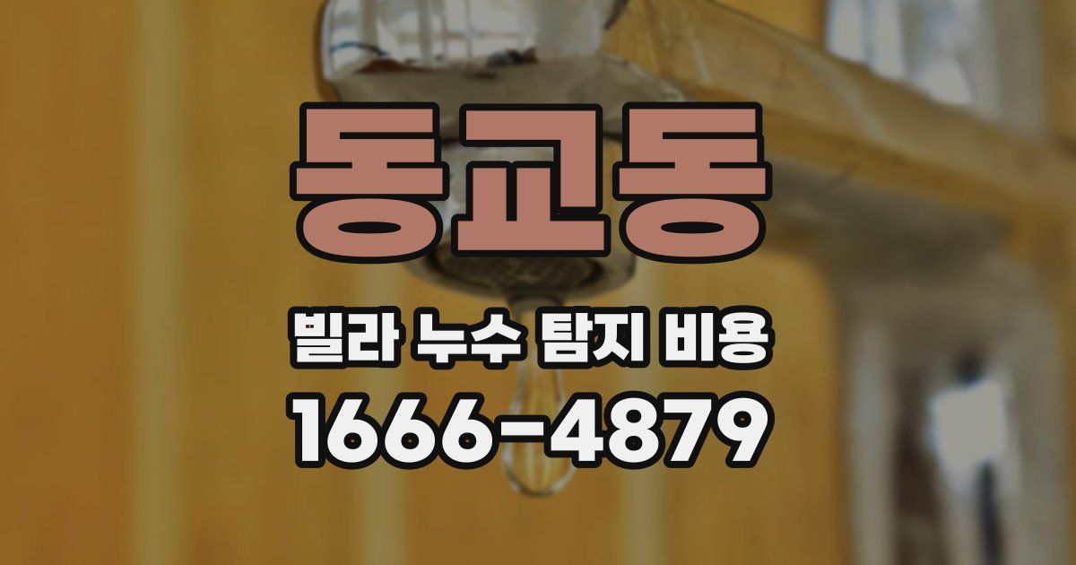 동교동 빌라 누수 탐지 비용