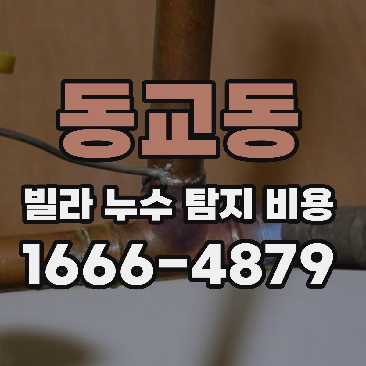 동교동 빌라 누수 탐지 비용