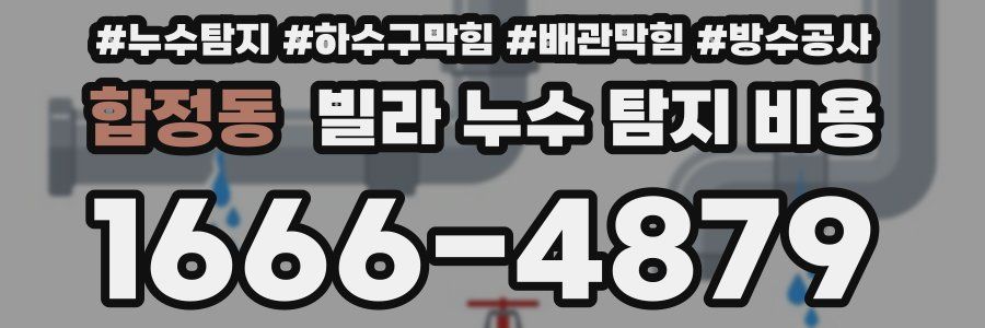 합정동 빌라 누수 탐지 비용