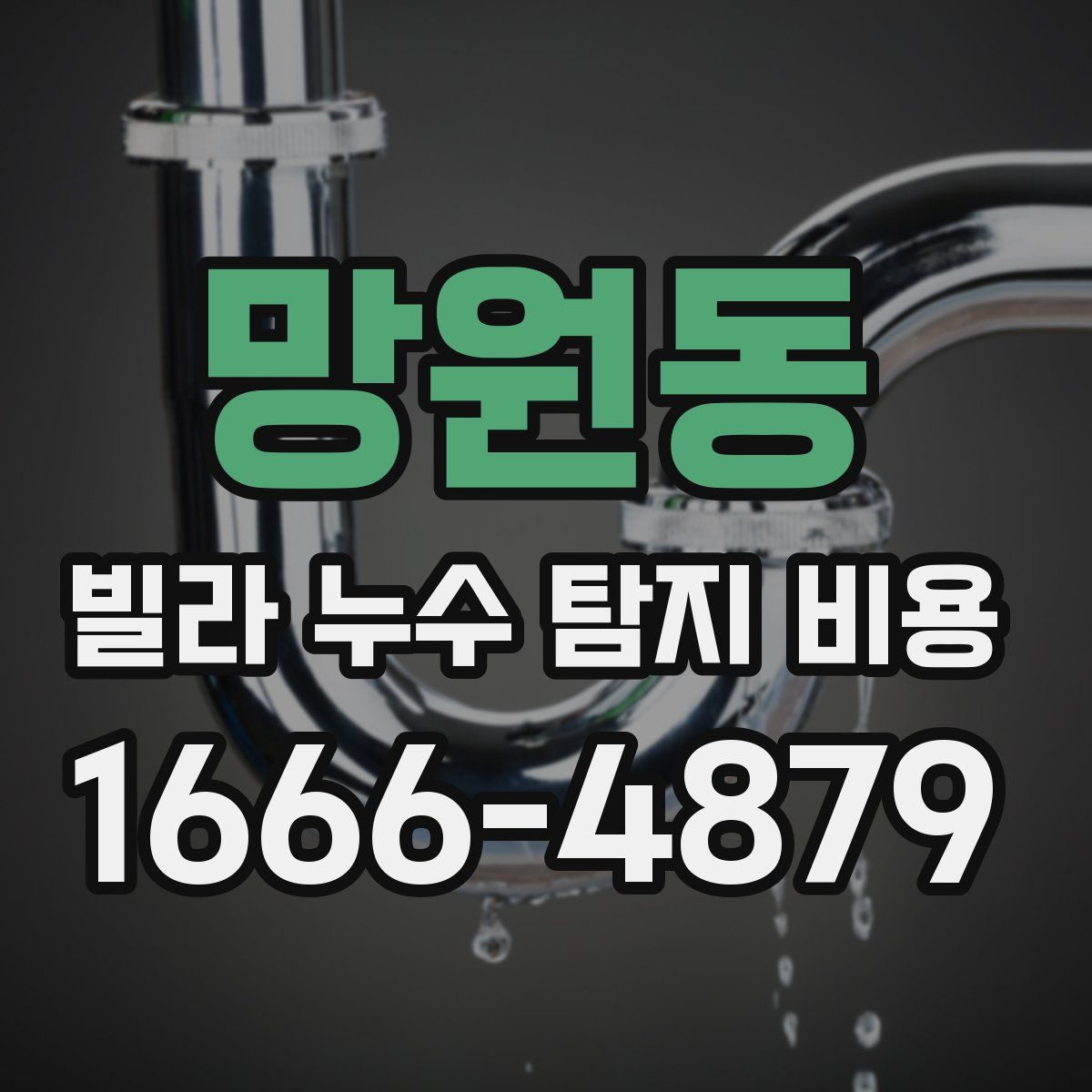 망원동 빌라 누수 탐지 비용