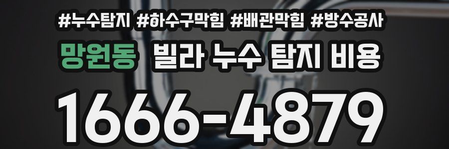 망원동 빌라 누수 탐지 비용