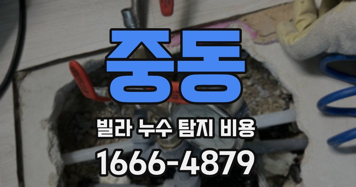 중동 빌라 누수 탐지 비용