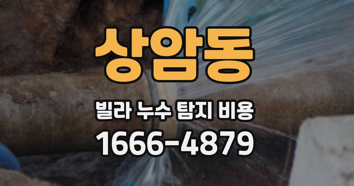 상암동 빌라 누수 탐지 비용