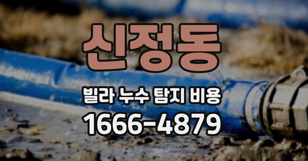 신정동 빌라 누수 탐지 비용